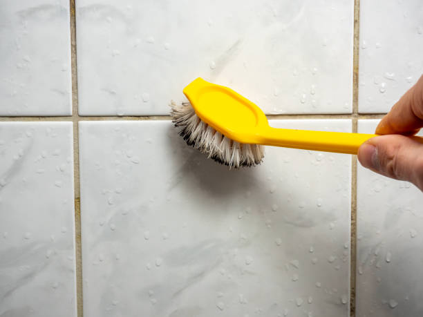 Best Commercial Mold Removal  in Salem, IN