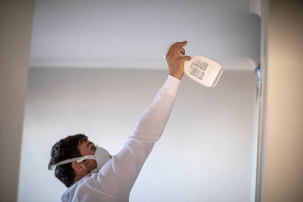 Best Mold Damage Repair  in Salem, IN