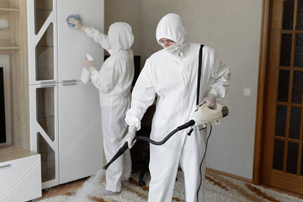 Attic Mold Removal in Salem, IN