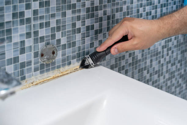Best Mold Removal Company Near Me  in Salem, IN
