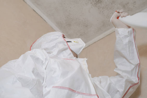 Best Mold Cleaning Services  in Salem, IN