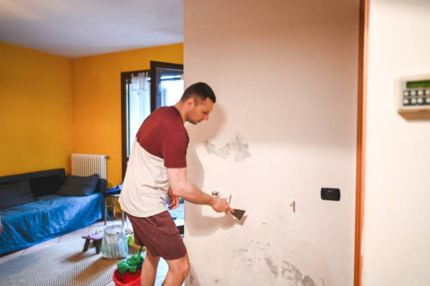 Best Local Mold Removal Service  in Salem, IN